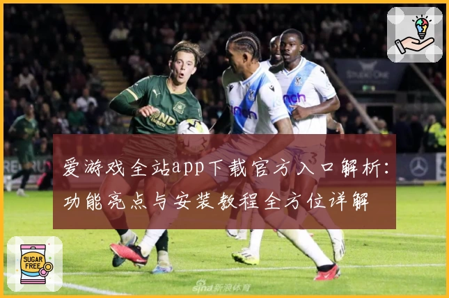 爱游戏全站app下载官方入口解析:功能亮点与安装教程全方位详解