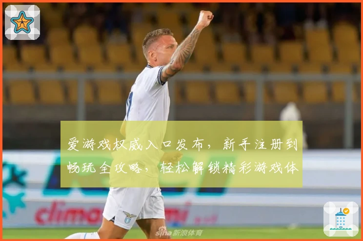 爱游戏权威入口发布，新手注册到畅玩全攻略，轻松解锁精彩游戏体验